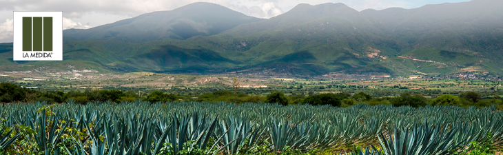 La Medida Mezcal