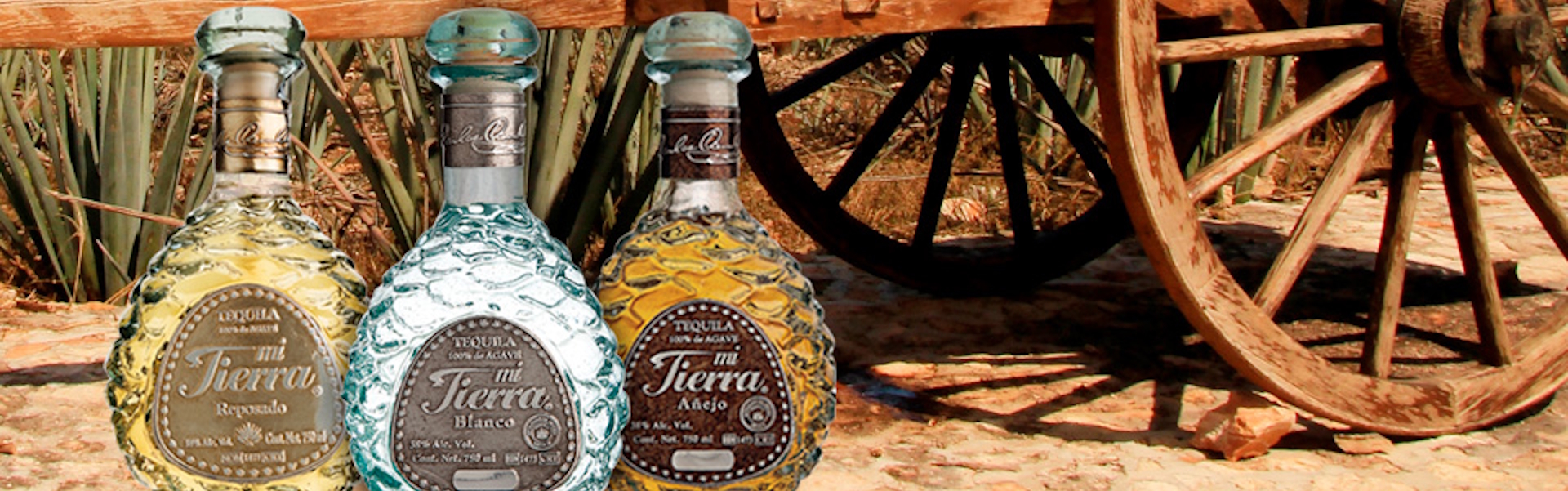 Mi Tierra Tequila